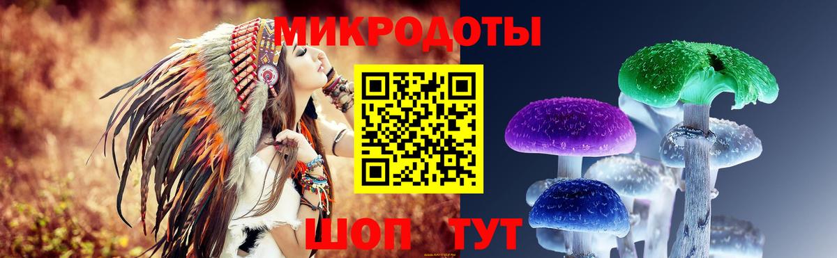 Галлюциногенные грибы Cubensis Нефтекумск